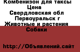 Комбенизон для таксы!!! › Цена ­ 300 - Свердловская обл., Первоуральск г. Животные и растения » Собаки   